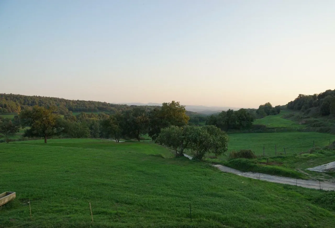 Vakantiehuis Mas Roca Del Mill Villa Perafita